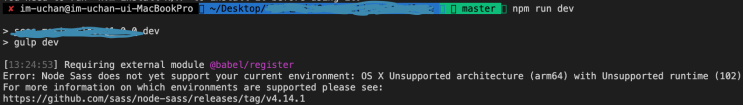 [오류모음] Error: Node Sass does not yet support your current environment : OS X Unsupported architec...