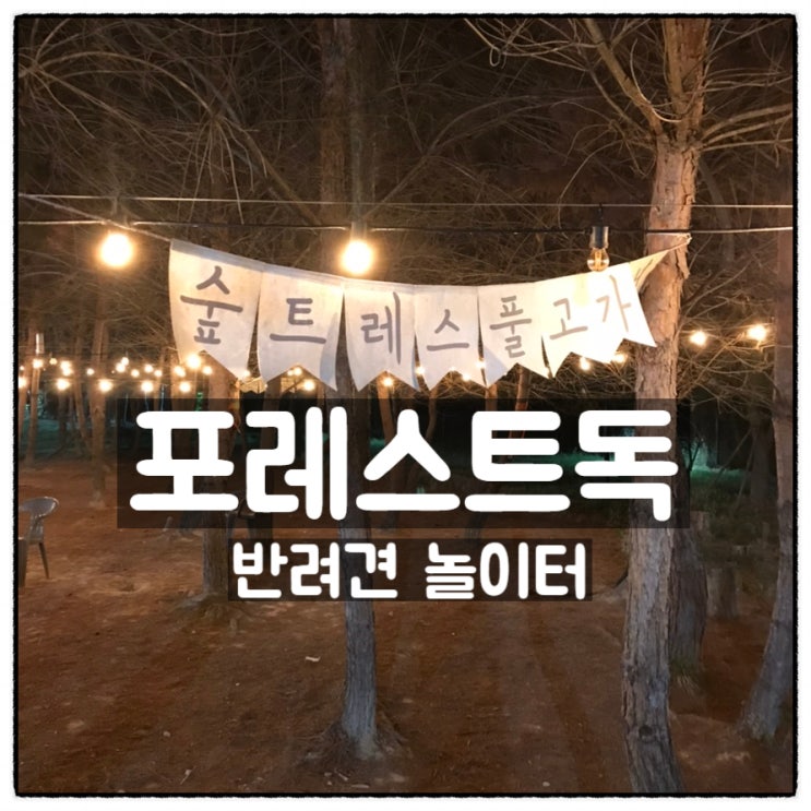  포레스트독 숲속 반려견놀이터 소개