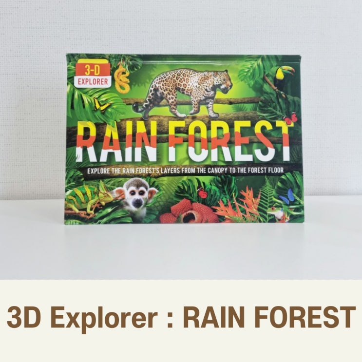  북메카 세일 열대우림책 추천! 3D Explorer Rain Forest