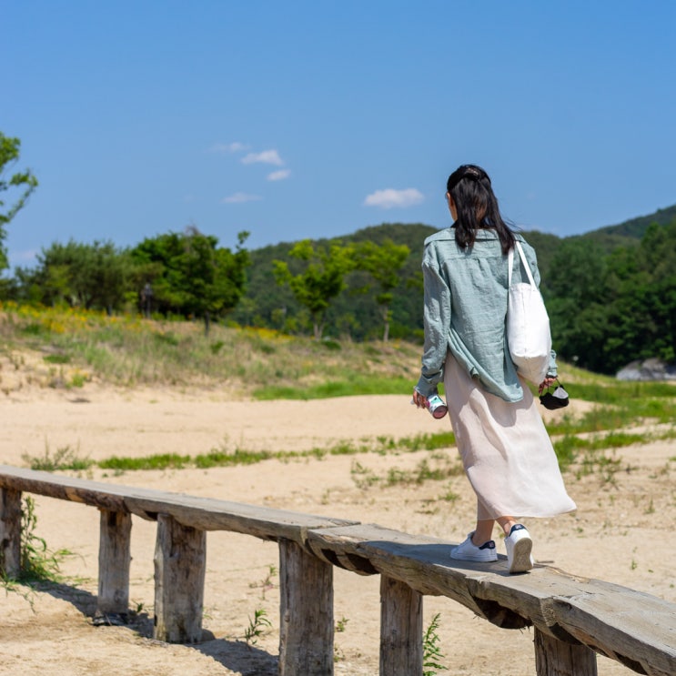 경북 영주여행 - 아이와 가기 좋은 영주 무섬마을 외나무다리