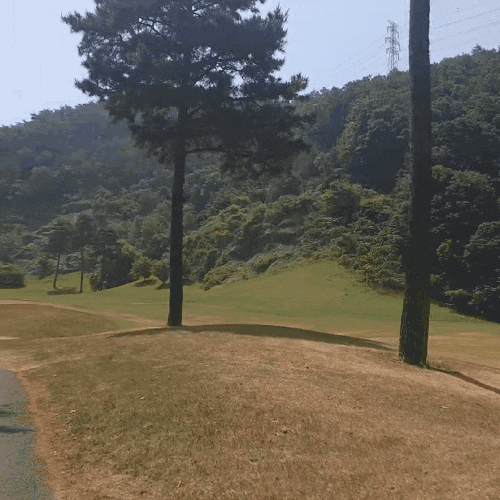 [리뷰] 주말 여름 라운딩 l양평tpc 골프장 l 브이로그 내돈내산