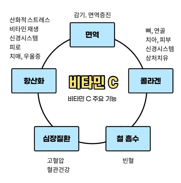  [스마일 건강.웰빙 4탄] 우리몸에 필요한 영양소 비타민C 효능과 섭취방법