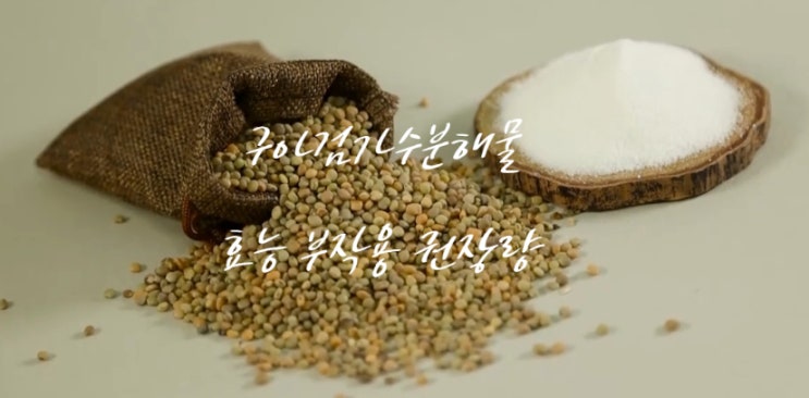  구아검가수분해물 효능 부작용 (ft.  하루 섭취 권장량 활용법 섭취 방법)