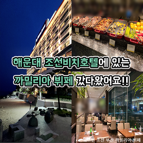  해운대 조선비치호텔 뷔페, 까밀리아 갔다 왔어요(웨스틴 조선 부산)