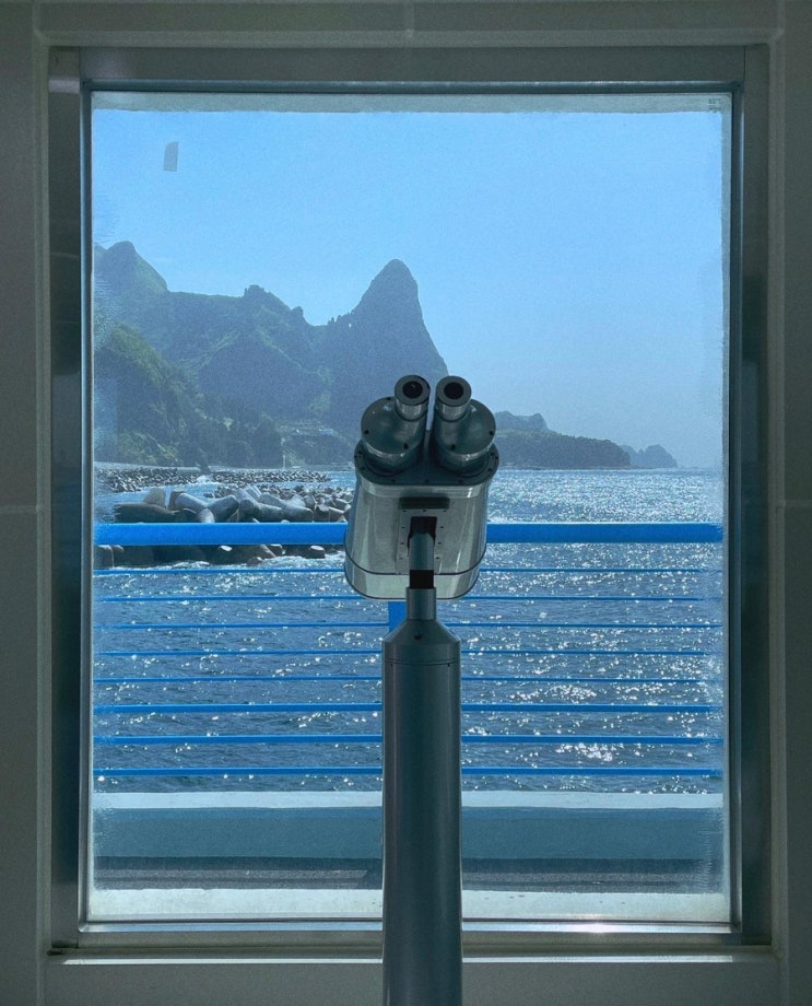  [울릉도] 바다 안을 들여다보는 경험 | 천부해중전망대