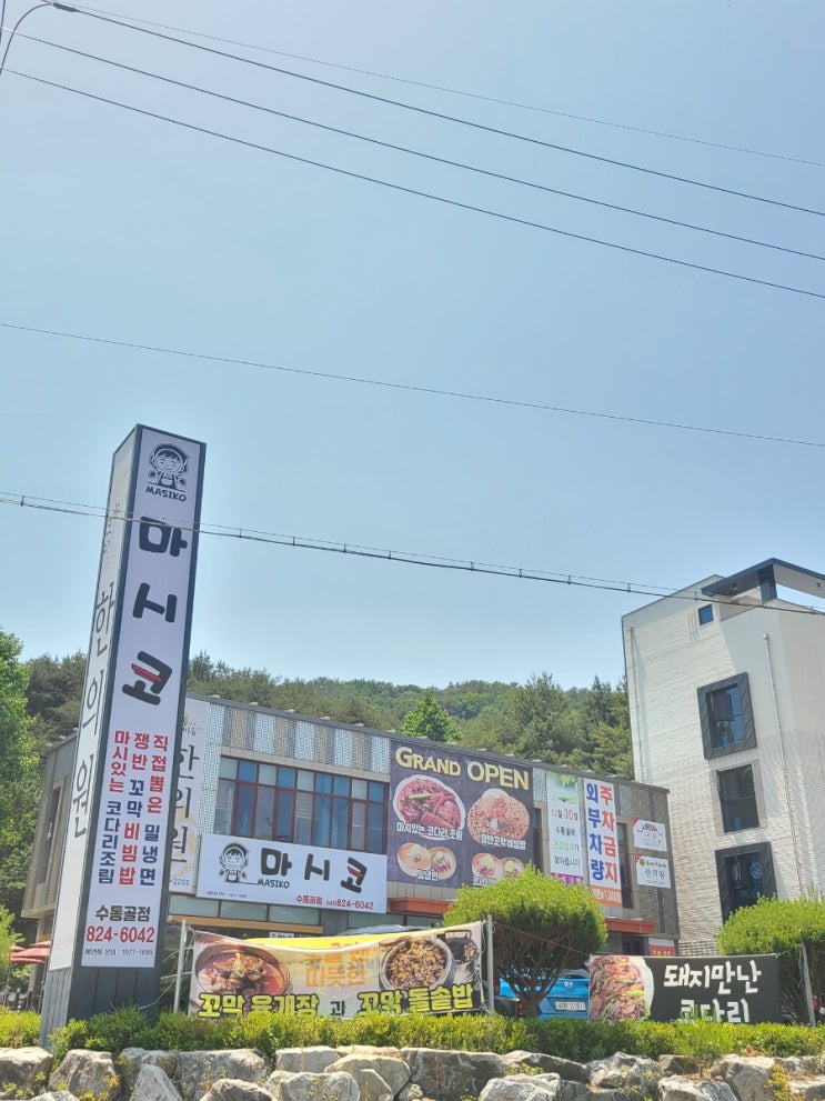  대전 현충원 근처 맛집 마시코 수통골점 가성비 최고! 막걸리 부침개 무료 공짜 서비스 가족외식 즐겨요~