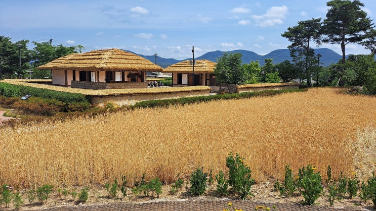  경주 아이들과 가볼만한 박목월 생가