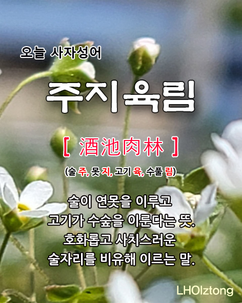 [886] 오늘 사자성어 주지육림(酒池肉林)의 뜻은?