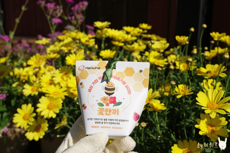 UN 세계 꿀벌의 날, 꿀벌 실종을 막는 한화 솔라비하이브 UN 세계 꿀벌의 날, 꿀벌 실종을 막는 한화 솔라비하이브