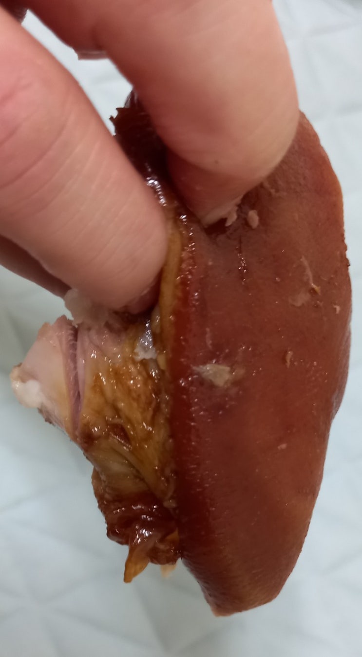  수출하는 이킴보쌈김치와 성남한양족발 에어프라이어와 전자렌지