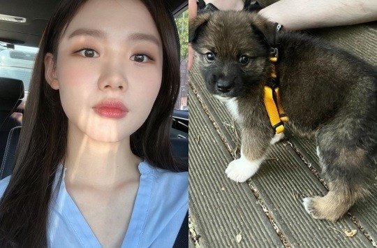 '최연소 아나' 김수민, 결혼 4개월 만에 입양 항상 행복하게 해줄게