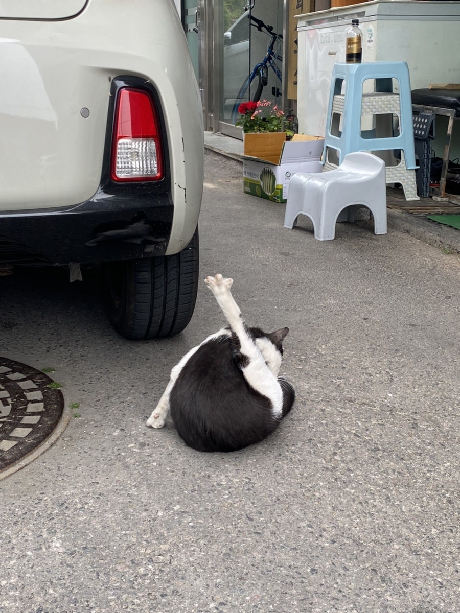 쌍문동지짐이 사진 3
