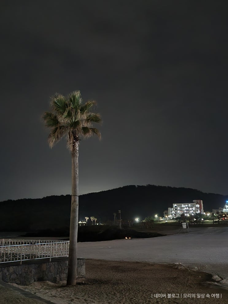 비오는 날 제주 여행 (1박 2일은 너무 짧다) 비오는 날 제주 여행 (1박 2일은 너무 짧다)