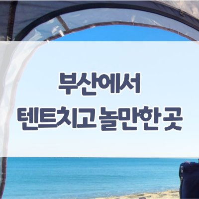  부산에서 텐트치고 놀만한 곳 - 스포원파크, 삼락생태공원, 아미르공원, 임랑해수욕장