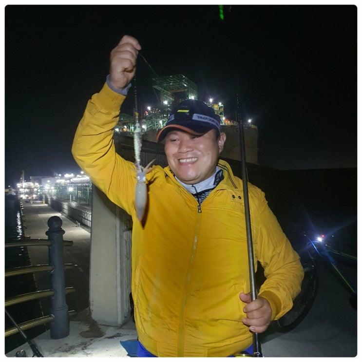  애월항 방파제 제주 한치낚시 도전 제주도 한치낚시 포인트 채비 공략