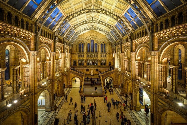 런던여행) 자연사박물관- 50번을 방문해도 두시간은 걸리는 박물관투어