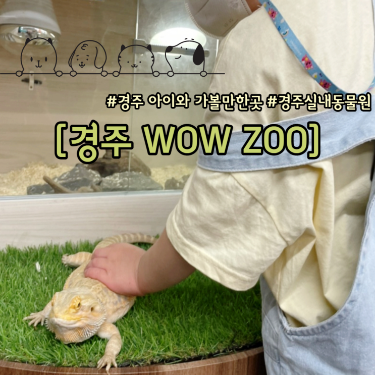  경주 아이랑 가볼만한곳 실내동물원 와우쥬(WOW ZOO)