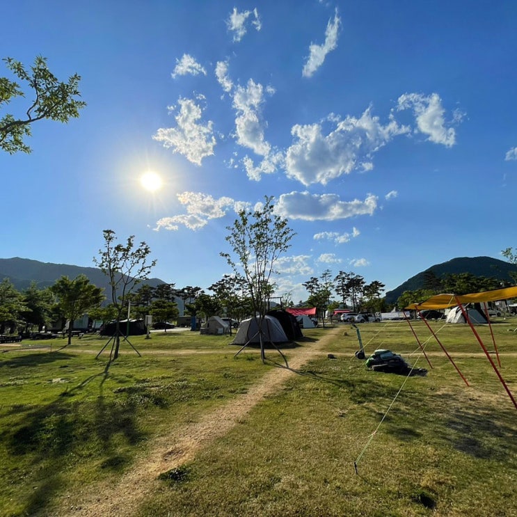  [부산 근교 캠핑]양산 황산공원 캠핑장에서 1박하며 하루종일 먹고 놀기 '황산캠핑'