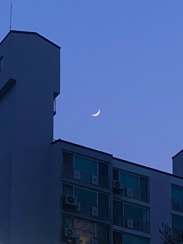 220530-0605의 기록 : 운명을 믿으세요?