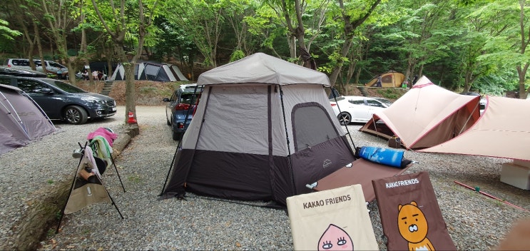  니로와 함께하는 안성두리오토캠핑장 차박