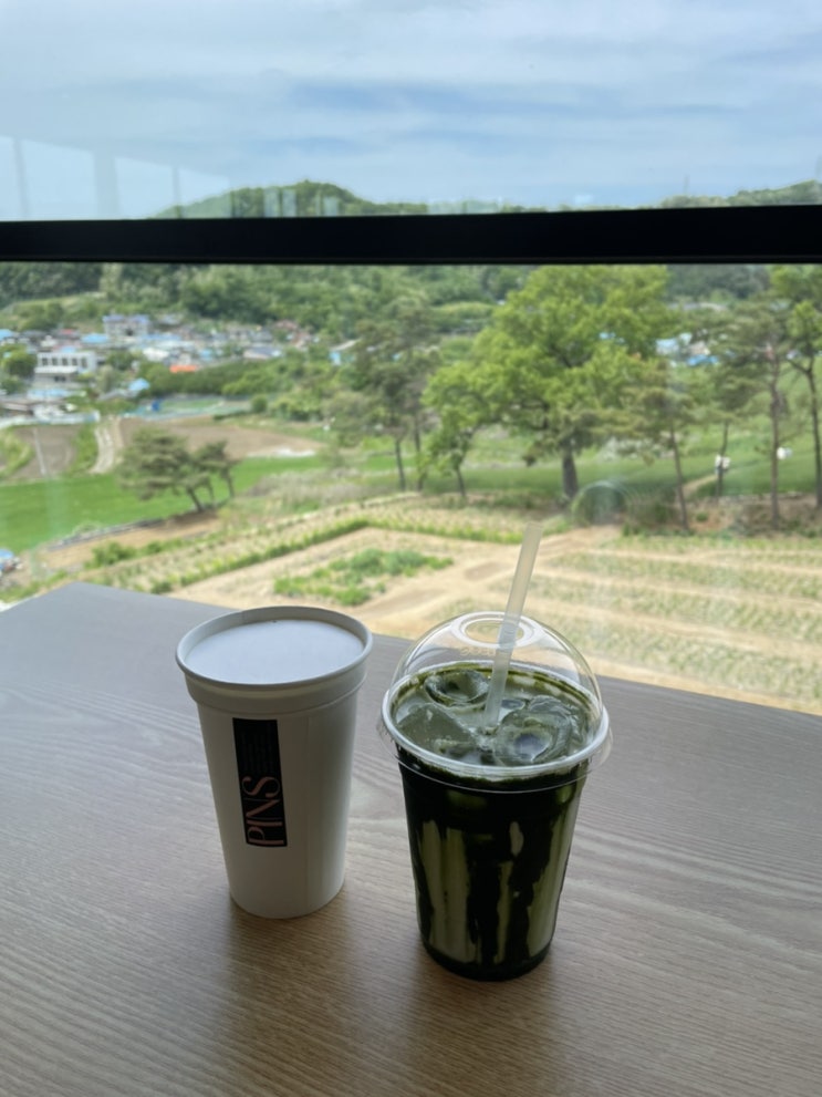  천안 봉평장터 메밀막국수 먹고, 핀스커피 밀밭뷰 보면서 커피마신 하루