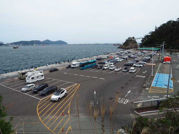  가족과함께 즐길 수 있는 부산 서구 암남공원 생활 낚시포인트 둘러보기!