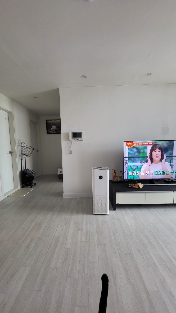  한 달 반 만의 생존신고
