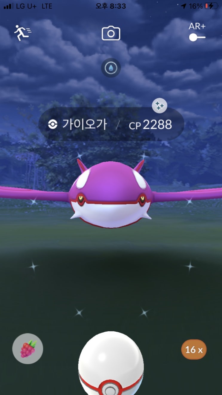  가이오가 이로치