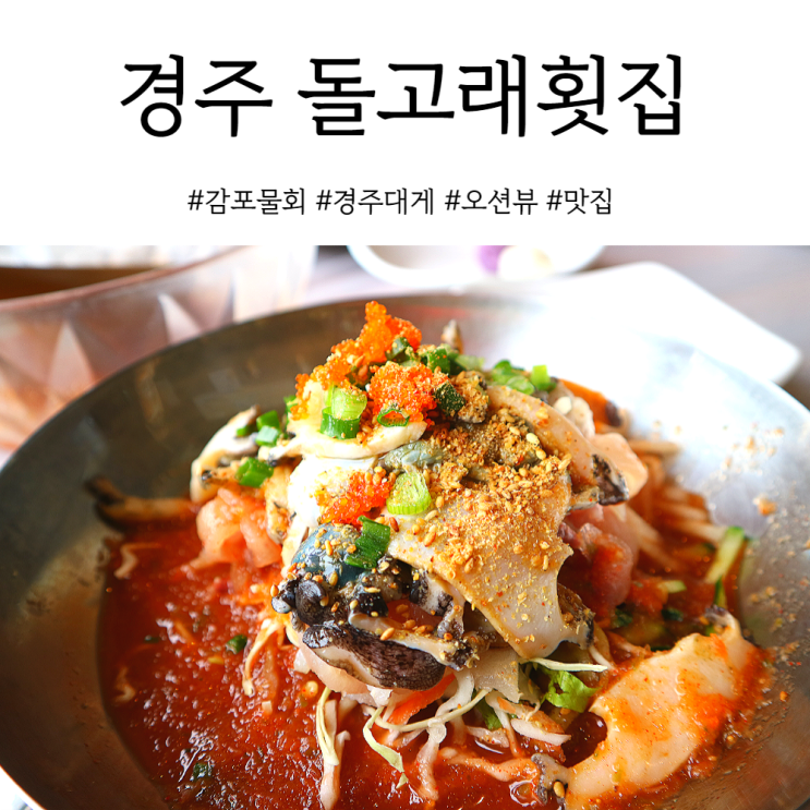 경주 대게/감포 물회 돌고래횟집 맛집으로 유명해