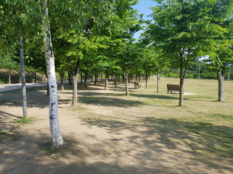 조용하게 피크닉 즐기기 좋은 곳, 광교중앙공원