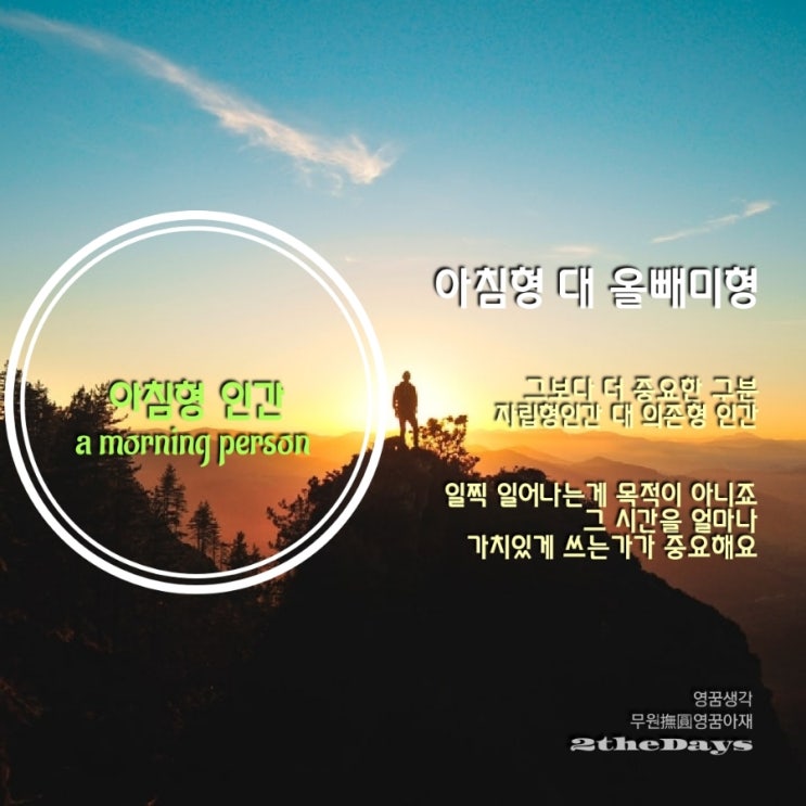  미라클 모닝, 아침형 대 올빼미형 인간