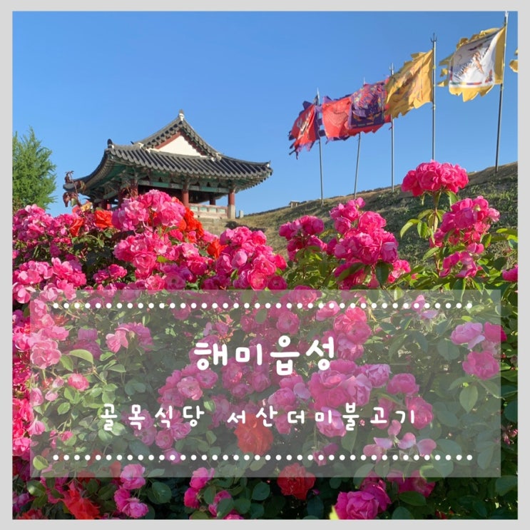  장미꽃과 풍경이 예쁜 해미읍성 (4살 아이랑 가기 좋은 곳, 골목식당 서산더미불고기 추억의집밥)