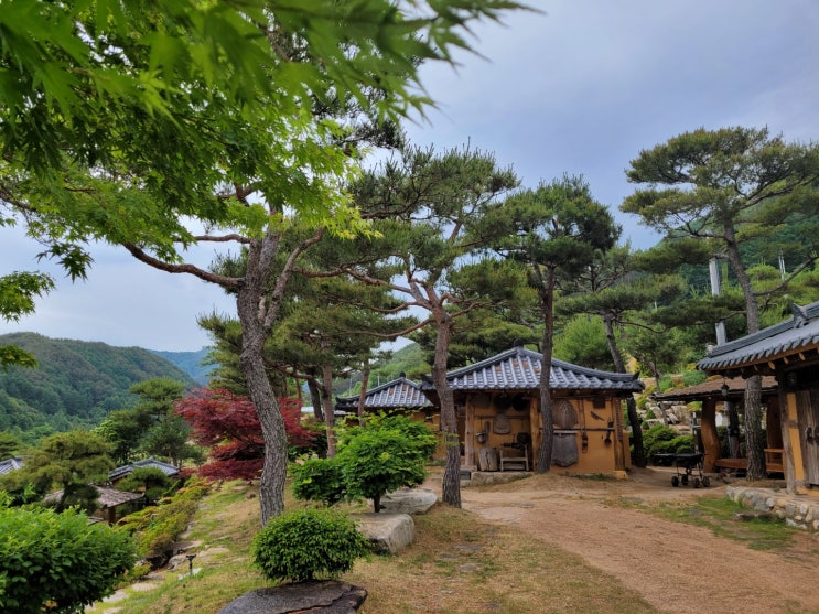  한옥 황토방 체험 경북 봉화 펜션 오로지 가족여행지 추천