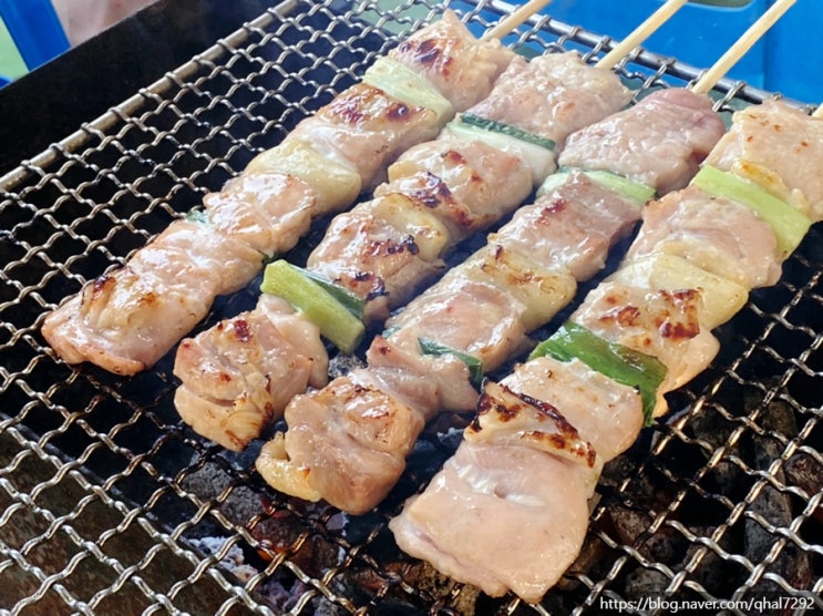 캠핑음식 하린이네 쭈꾸미 닭꼬치 밀키트 후기