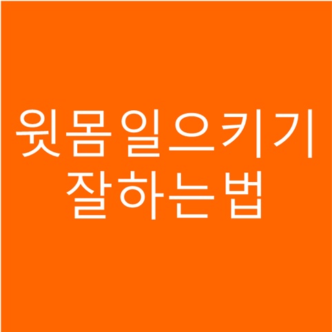 윗몸일으키기 잘하는법 개수 꿀팁 (Feat.체대생)