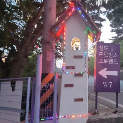  청도 여행 사진찍기 좋은 곳 청도 프로방스