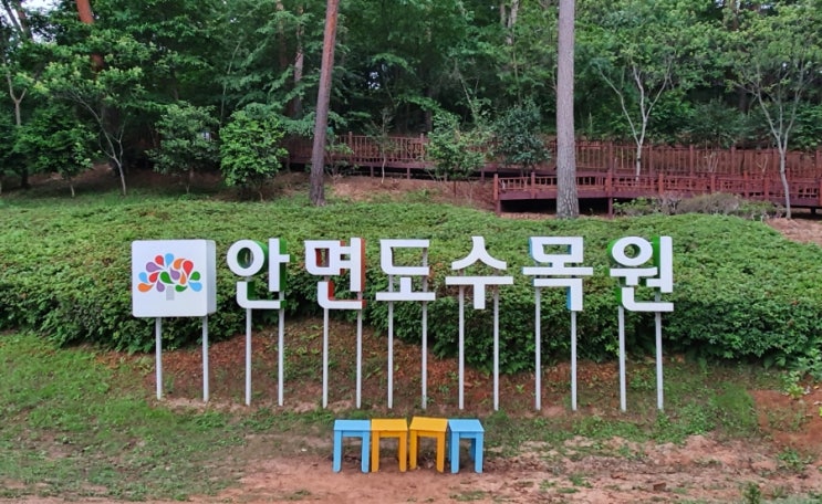  태안 안면도 가볼만한 곳 : 꽃지 해수욕장, 안면도 자연휴양림, 안면도 수목원