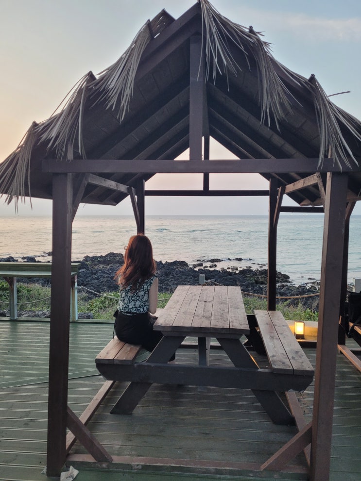  제주도 한달살기 일기 1주차