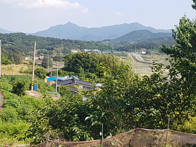  매물번호:394번(남해군 고현면 대사리)