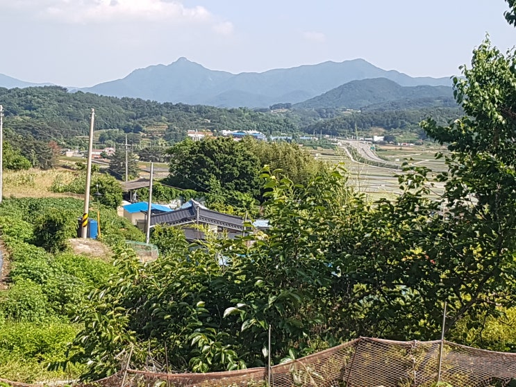 매물번호:394번(남해군 고현면 대사리)