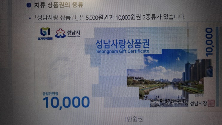  성남시 분당구 분당동 성남사랑상품권 가맹점과 지류 모바일 결제안내