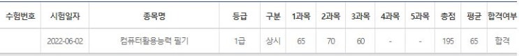  컴퓨터활용능력 1급 필기 - 합격 후기!