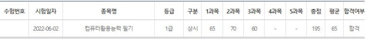 컴퓨터활용능력 1급 필기 - 합격 후기!