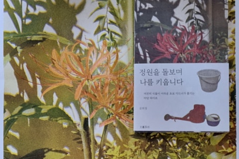 열매다방 이미지