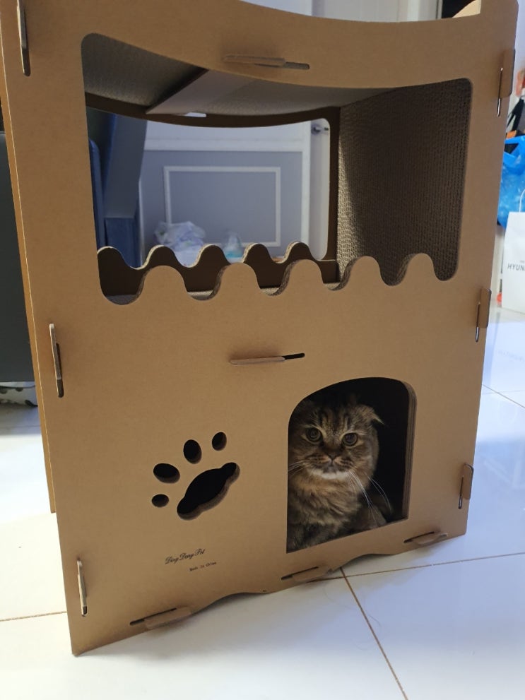  고양이 조립식 스크래쳐 구매후기_내돈내산