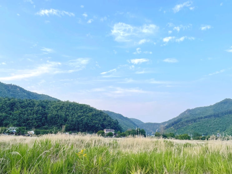 강원도 노지캠핑장에서 1박2일 캠핑(feat. 비발디파크) 강원도 노지캠핑장에서 1박2일 캠핑(feat. 비발디파크)