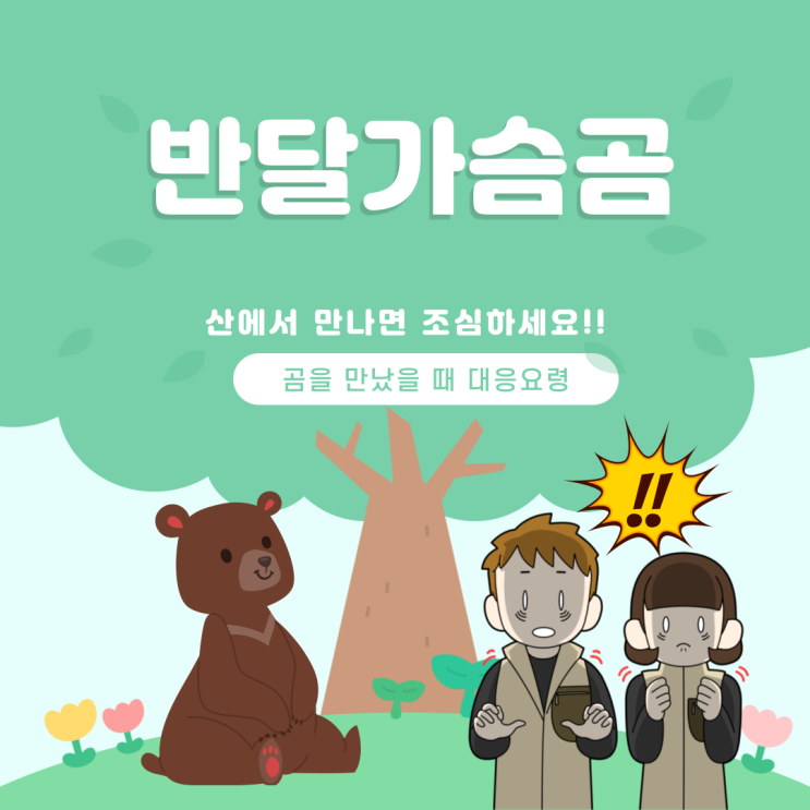  지리산 반달가슴곰 증손주가 태어났어요. (feat. 산에서 곰을 만났을 때 대처방법)