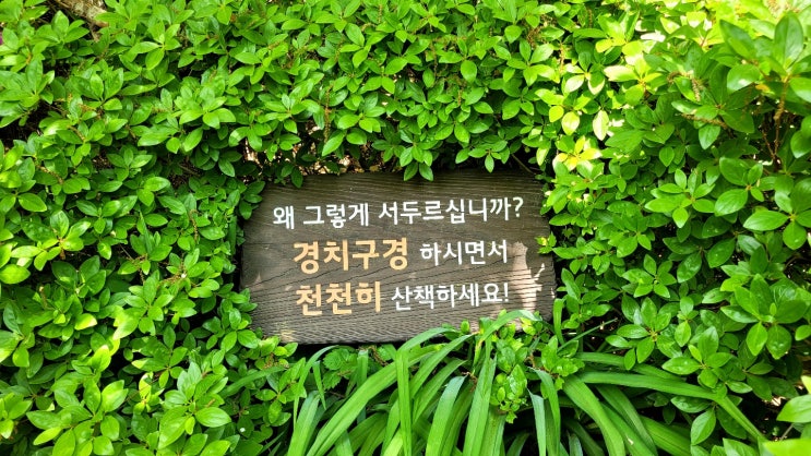 한번쯤 둘러가는 것도 좋다 한번쯤 둘러가는 것도 좋다