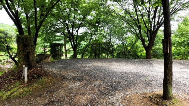 양평 수목원 캠핑장 느티나무 사이트