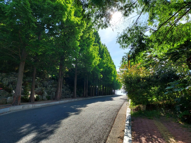 22/05/29 경상남도 여행 3일차 경상남도 통영시 [이순신공원/동피랑 벽화마을/한산대첩광장/서피랑공원] : 네이버 블로그